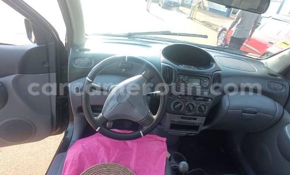 Buy Used Toyota Yaris Verso Green Car in Yaounde in Central Cameroon Buy Used Toyota Yaris Verso Green Car in Yaounde in Central Cameroon