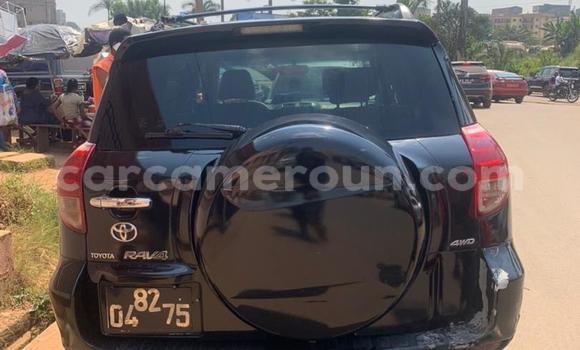 Buy Used Toyota RAV4 Black Car in Yaounde in Central Cameroon Buy Used Toyota RAV4 Black Car in Yaounde in Central Cameroon