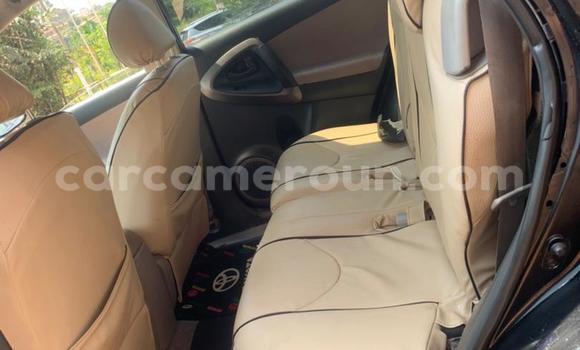 Buy Used Toyota RAV4 Black Car in Yaounde in Central Cameroon Buy Used Toyota RAV4 Black Car in Yaounde in Central Cameroon