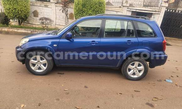 Acheter Occasion Voiture Toyota RAV4 Bleu à Yaoundé, Central Cameroon Acheter Occasion Voiture Toyota RAV4 Bleu à Yaoundé, Central Cameroon