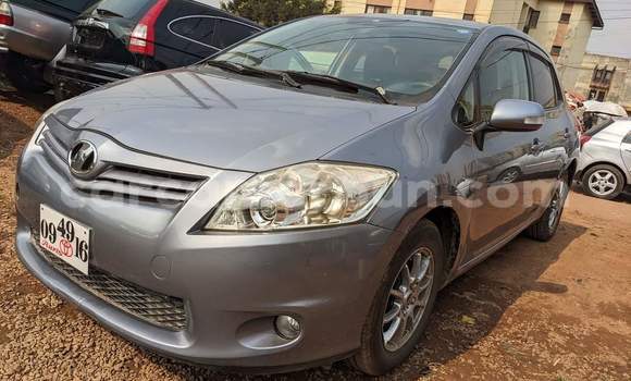 Buy Used Toyota Auris Silver Car in Yaounde in Central Cameroon Buy Used Toyota Auris Silver Car in Yaounde in Central Cameroon