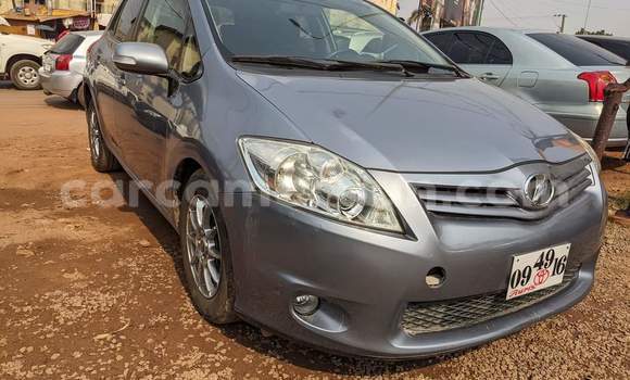 Buy Used Toyota Auris Silver Car in Yaounde in Central Cameroon Buy Used Toyota Auris Silver Car in Yaounde in Central Cameroon
