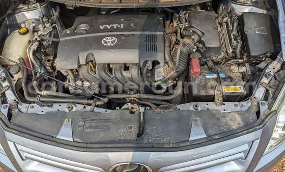 Buy Used Toyota Auris Silver Car in Yaounde in Central Cameroon Buy Used Toyota Auris Silver Car in Yaounde in Central Cameroon