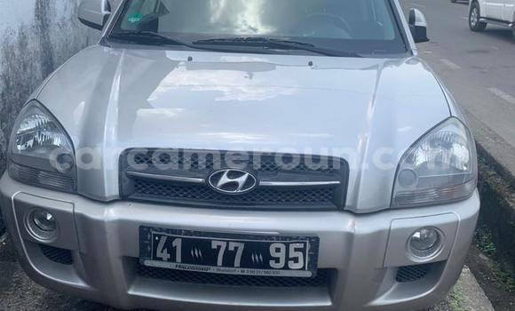 Buy Import Hyundai Tucson Silver Car in Douala in Littoral Cameroon