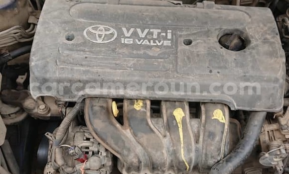 Sayi Na hannu Toyota Corolla Blue Mota in Douala a Ƙasar Kamaru Sayi Na hannu Toyota Corolla Blue Mota in Douala a Ƙasar Kamaru