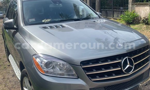 Buy Import Mercedes‒Benz ML–Class Silver Car in Douala in Littoral Cameroon