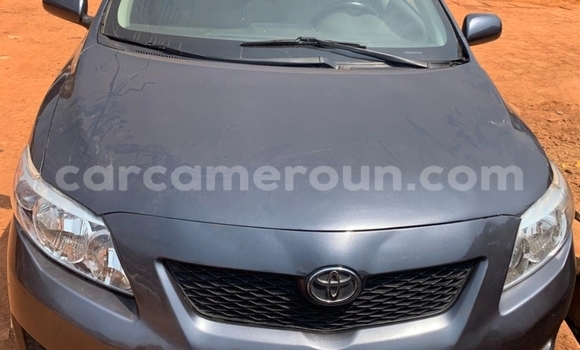 Acheter Occasion Voiture Toyota RAV4 Gris à Yaoundé, Central Cameroon Acheter Occasion Voiture Toyota RAV4 Gris à Yaoundé, Central Cameroon