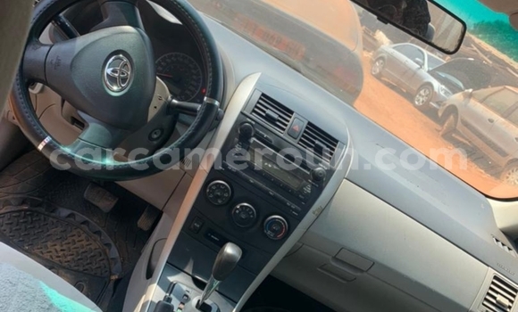 Acheter Occasion Voiture Toyota RAV4 Gris à Yaoundé, Central Cameroon Acheter Occasion Voiture Toyota RAV4 Gris à Yaoundé, Central Cameroon