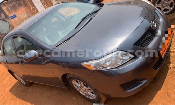 Acheter Occasion Voiture Toyota RAV4 Gris à Yaoundé, Central Cameroon Acheter Occasion Voiture Toyota RAV4 Gris à Yaoundé, Central Cameroon