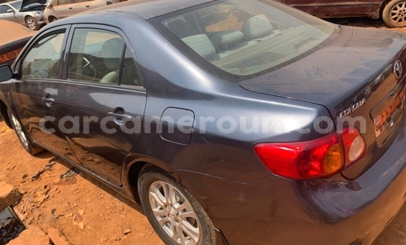 Acheter Occasion Voiture Toyota RAV4 Gris à Yaoundé, Central Cameroon Acheter Occasion Voiture Toyota RAV4 Gris à Yaoundé, Central Cameroon