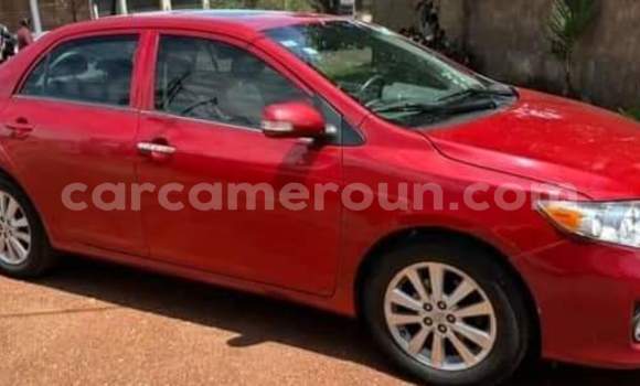Acheter Occasion Voiture Toyota Corolla Rouge à Yaoundé, Central Cameroon Acheter Occasion Voiture Toyota Corolla Rouge à Yaoundé, Central Cameroon