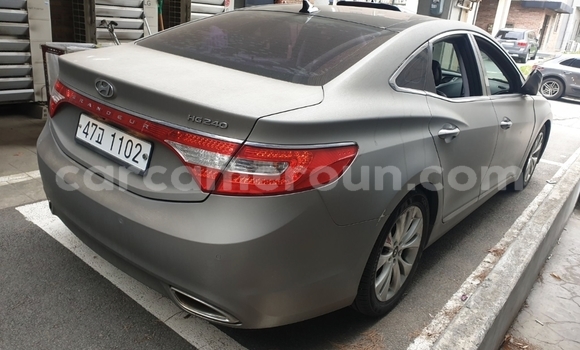 Buy Used Hyundai Grandeur Silver Car in Yaounde in Central Cameroon Buy Used Hyundai Grandeur Silver Car in Yaounde in Central Cameroon