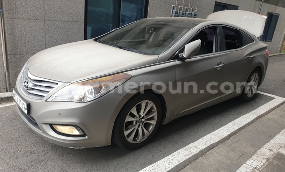 Buy Used Hyundai Grandeur Silver Car in Yaounde in Central Cameroon Buy Used Hyundai Grandeur Silver Car in Yaounde in Central Cameroon