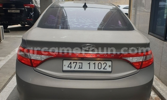 Buy Used Hyundai Grandeur Silver Car in Yaounde in Central Cameroon Buy Used Hyundai Grandeur Silver Car in Yaounde in Central Cameroon