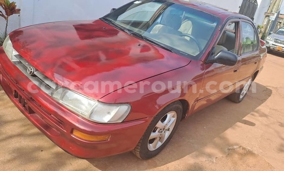Buy Used Toyota Corolla Red Car in Yaounde in Central Cameroon