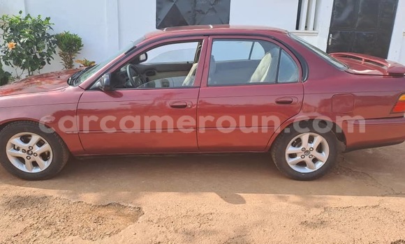Buy Used Toyota Corolla Red Car in Yaounde in Central Cameroon Buy Used Toyota Corolla Red Car in Yaounde in Central Cameroon