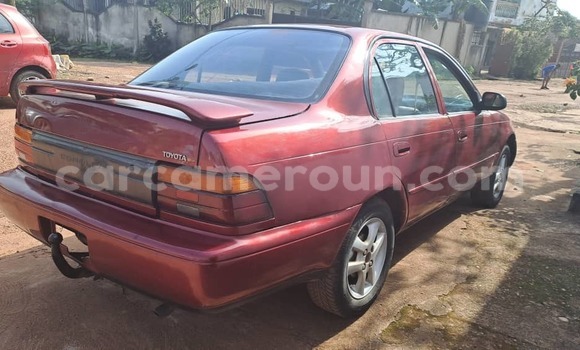 Buy Used Toyota Corolla Red Car in Yaounde in Central Cameroon Buy Used Toyota Corolla Red Car in Yaounde in Central Cameroon