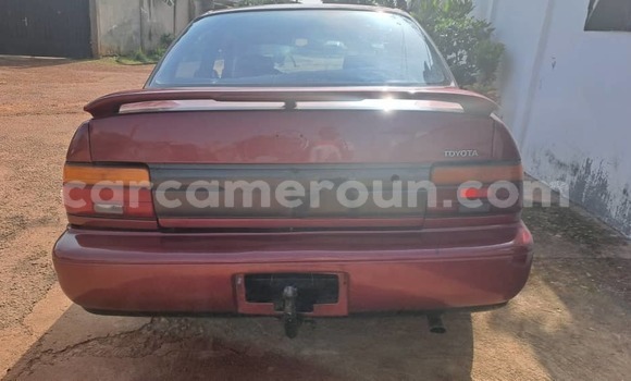 Buy Used Toyota Corolla Red Car in Yaounde in Central Cameroon Buy Used Toyota Corolla Red Car in Yaounde in Central Cameroon