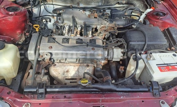 Buy Used Toyota Corolla Red Car in Yaounde in Central Cameroon Buy Used Toyota Corolla Red Car in Yaounde in Central Cameroon