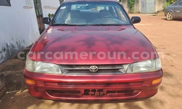 Buy Used Toyota Corolla Red Car in Yaounde in Central Cameroon Buy Used Toyota Corolla Red Car in Yaounde in Central Cameroon