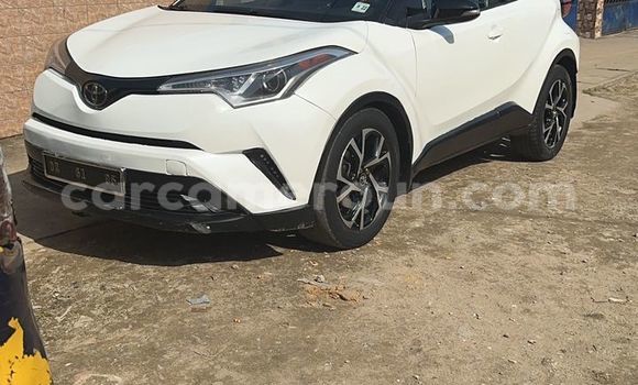 Buy Used Toyota C-HR White Car in Douala in Littoral Cameroon