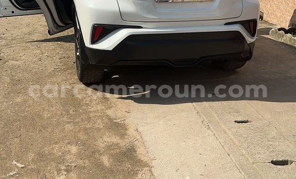 Buy Used Toyota C-HR White Car in Douala in Littoral Cameroon Buy Used Toyota C-HR White Car in Douala in Littoral Cameroon