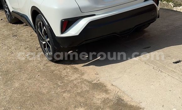 Buy Used Toyota C-HR White Car in Douala in Littoral Cameroon Buy Used Toyota C-HR White Car in Douala in Littoral Cameroon