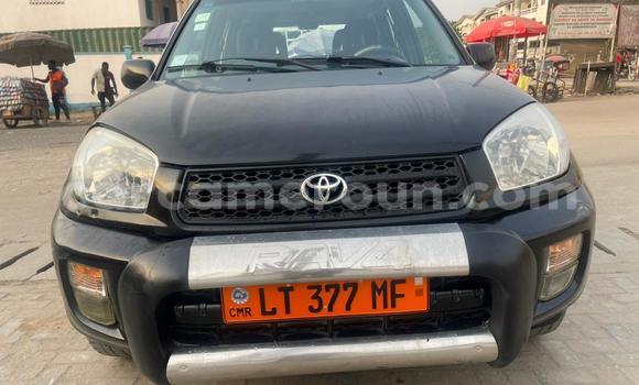 Acheter Occasion Voiture Toyota RAV4 Noir à Douala, Littoral Cameroon