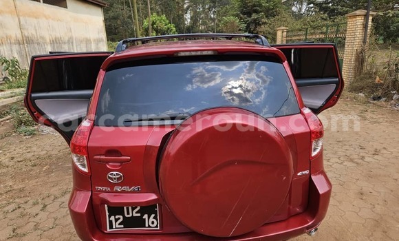 Buy Used Toyota RAV4 Red Car in Yaounde in Central Cameroon Buy Used Toyota RAV4 Red Car in Yaounde in Central Cameroon