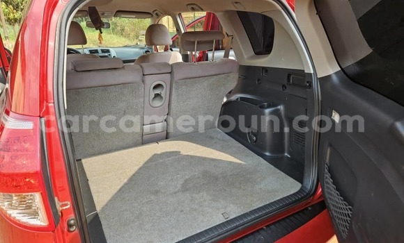 Buy Used Toyota RAV4 Red Car in Yaounde in Central Cameroon Buy Used Toyota RAV4 Red Car in Yaounde in Central Cameroon
