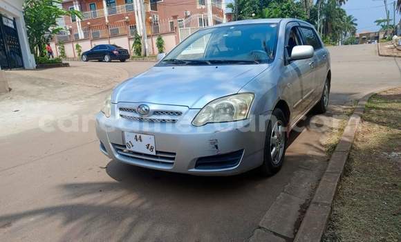 Acheter Occasion Voiture Toyota Allex Gris à Yaoundé, Central Cameroon Acheter Occasion Voiture Toyota Allex Gris à Yaoundé, Central Cameroon