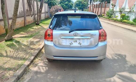 Acheter Occasion Voiture Toyota Allex Gris à Yaoundé, Central Cameroon Acheter Occasion Voiture Toyota Allex Gris à Yaoundé, Central Cameroon