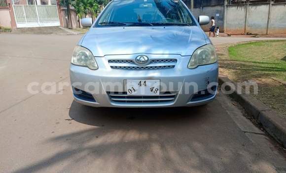 Acheter Occasion Voiture Toyota Allex Gris à Yaoundé, Central Cameroon Acheter Occasion Voiture Toyota Allex Gris à Yaoundé, Central Cameroon