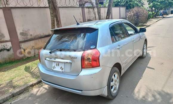 Acheter Occasion Voiture Toyota Allex Gris à Yaoundé, Central Cameroon Acheter Occasion Voiture Toyota Allex Gris à Yaoundé, Central Cameroon