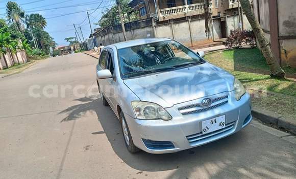 Acheter Occasion Voiture Toyota Allex Gris à Yaoundé, Central Cameroon Acheter Occasion Voiture Toyota Allex Gris à Yaoundé, Central Cameroon