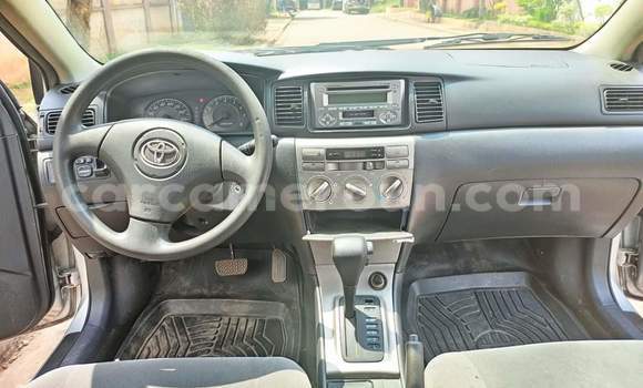 Acheter Occasion Voiture Toyota Allex Gris à Yaoundé, Central Cameroon Acheter Occasion Voiture Toyota Allex Gris à Yaoundé, Central Cameroon