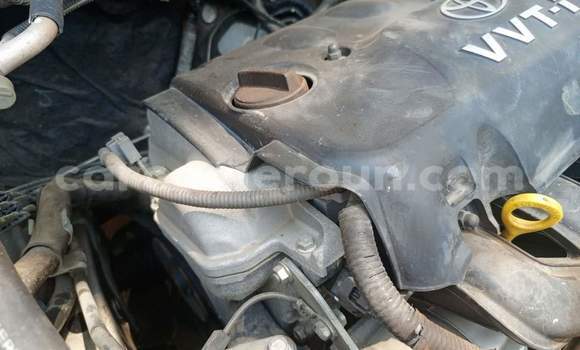 Acheter Occasion Voiture Toyota Allex Gris à Yaoundé, Central Cameroon Acheter Occasion Voiture Toyota Allex Gris à Yaoundé, Central Cameroon