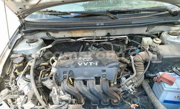 Acheter Occasion Voiture Toyota Allex Gris à Yaoundé, Central Cameroon Acheter Occasion Voiture Toyota Allex Gris à Yaoundé, Central Cameroon