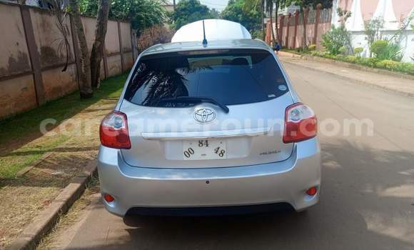 Buy Used Toyota Auris Silver Car in Yaounde in Central Cameroon Buy Used Toyota Auris Silver Car in Yaounde in Central Cameroon
