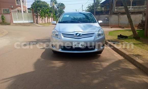 Buy Used Toyota Auris Silver Car in Yaounde in Central Cameroon Buy Used Toyota Auris Silver Car in Yaounde in Central Cameroon