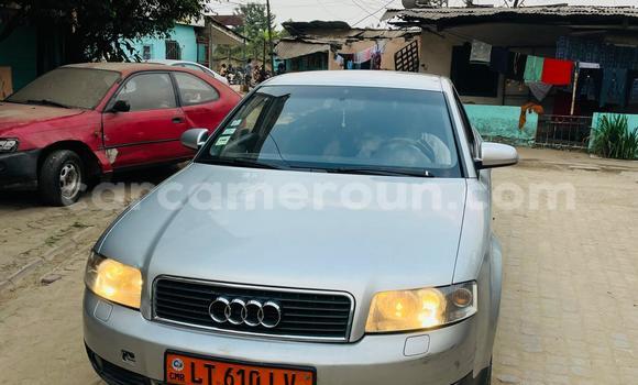 Acheter Occasion Voiture Audi A4 Gris à Douala, Littoral Cameroon