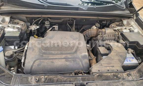 Acheter Occasion Voiture Kia Sorento Marron à Yaoundé, Central Cameroon Acheter Occasion Voiture Kia Sorento Marron à Yaoundé, Central Cameroon