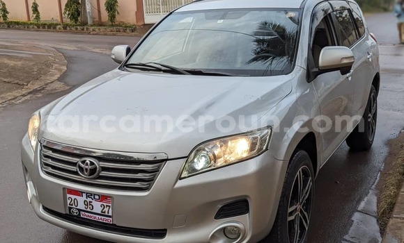 Buy Used Toyota Vanguard White Car in Yaounde in Central Cameroon Buy Used Toyota Vanguard White Car in Yaounde in Central Cameroon