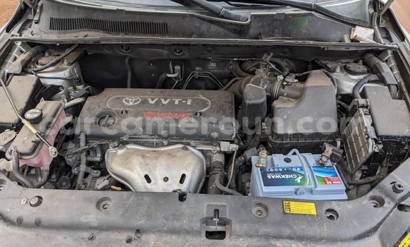 Buy Used Toyota Vanguard White Car in Yaounde in Central Cameroon Buy Used Toyota Vanguard White Car in Yaounde in Central Cameroon