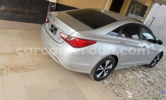 Buy Used Hyundai Sonata Silver Car in Douala in Littoral Cameroon