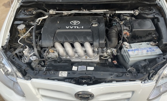 Acheter Occasion Voiture Toyota Runx Blanc à Yaoundé, Central Cameroon Acheter Occasion Voiture Toyota Runx Blanc à Yaoundé, Central Cameroon