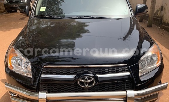 Buy Used Toyota RAV4 Black Car in Yaounde in Central Cameroon