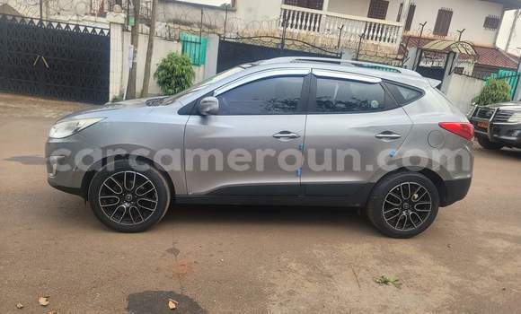 Buy Used Hyundai Tucson Silver Car in Yaounde in Central Cameroon Buy Used Hyundai Tucson Silver Car in Yaounde in Central Cameroon
