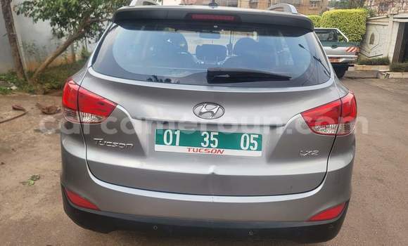 Buy Used Hyundai Tucson Silver Car in Yaounde in Central Cameroon Buy Used Hyundai Tucson Silver Car in Yaounde in Central Cameroon