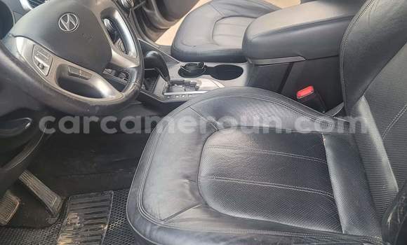 Buy Used Hyundai Tucson Silver Car in Yaounde in Central Cameroon Buy Used Hyundai Tucson Silver Car in Yaounde in Central Cameroon